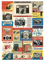 Vintage Cameras Gift Wrap<br>Cavallini Paper Co.